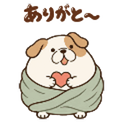 毛布にくるまったブルドッグのメイン画像